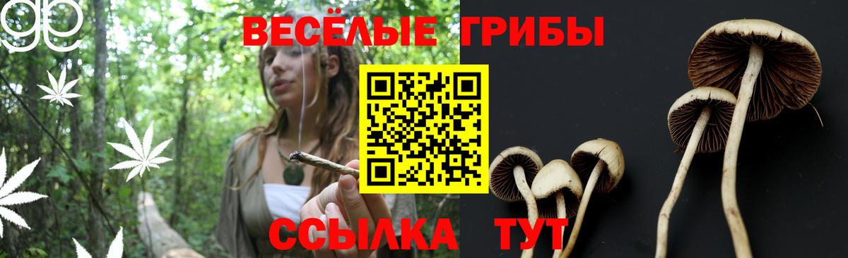 Псилоцибиновые грибы мицелий  Вход с VPN  Клин 