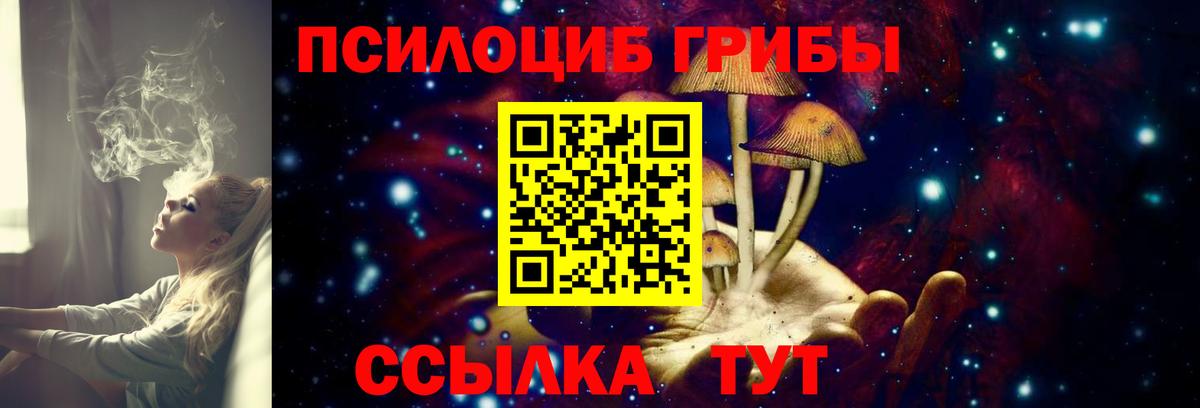 Псилоцибиновые грибы MAGIC MUSHROOMS Клин